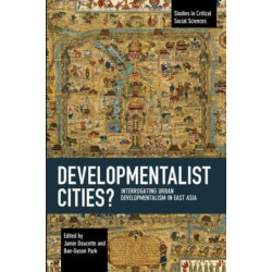 Developmentalist Cities?: Interrogating Urban Developmentalism in East Asia