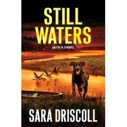 Still Waters: A Riveting Novel of Suspense