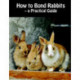 How to Bond Rabbits - a Practical Guide