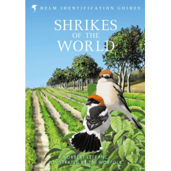 Shrikes of the World: THE BB/BTO BIRD BOOK OF THE YEAR