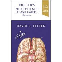 Netter's Neuroscience Flash Cards