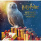 Harry Potter: Hedwig Pop-up Advent Calendar