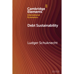 Debt Sustainability: A Global Perspective