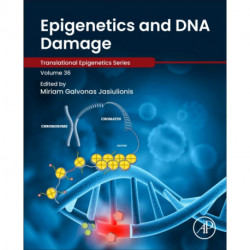 Epigenetics and DNA Damage