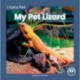 My Pet Lizard