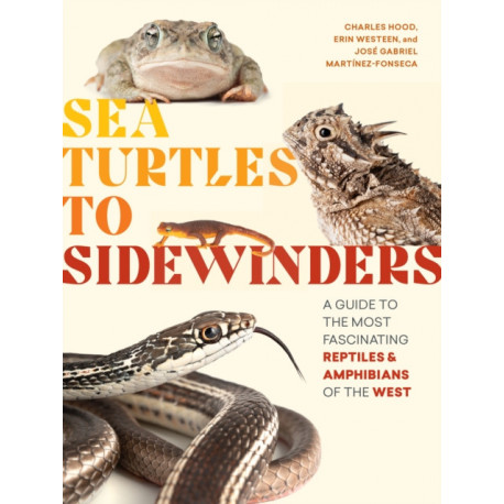 Sea Turtles to Sidewinders: A Guide to the Most Fascinating Reptiles and Amphibians of the West