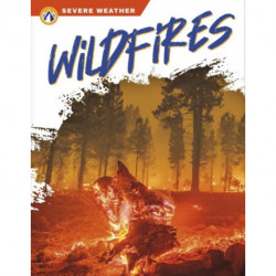 Wildfires