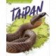 Taipan