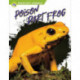 Poison Dart Frog