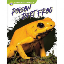 Poison Dart Frog