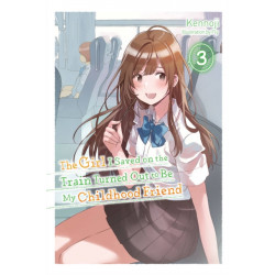 The The Girl I Saved on the Train Turned Out to Be My Childhood Friend, Vol. 3 (light novel)