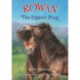 Rowan The Exmoor Pony
