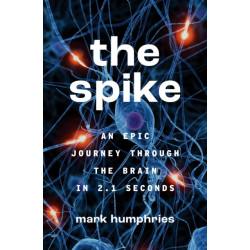 The Spike: An Epic Journey Through the Brain in 2.1 Seconds