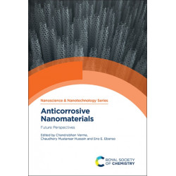 Anticorrosive Nanomaterials: Future Perspectives