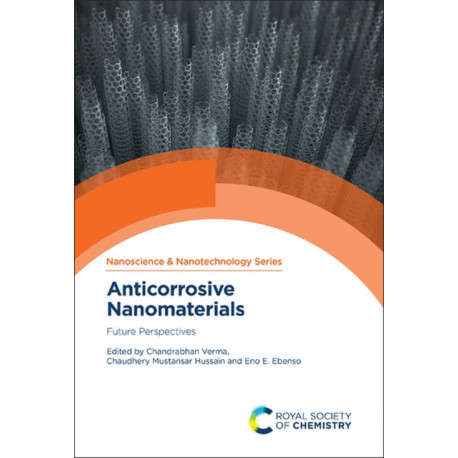 Anticorrosive Nanomaterials: Future Perspectives