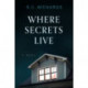 Where Secrets Live: A Novel