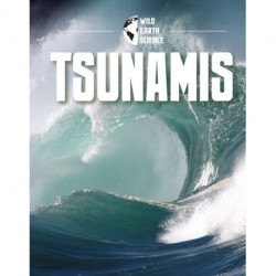Tsunamis