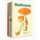 Mushrooms - Notecard Set: An Abbeville Notecard Set