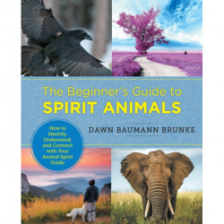 The Beginner's Guide to Spirit Animals: How to Identify, Understand, and Connect with Your Animal Spirit Guide
