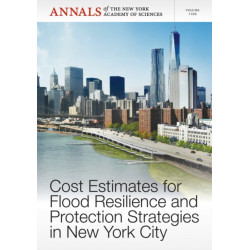 Cost Estimates for Flood Resilience and Protection Strategies in New York City, Volume 1294
