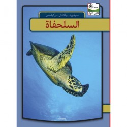 Skildpadder - arabisk