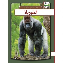 Gorilla - arabisk