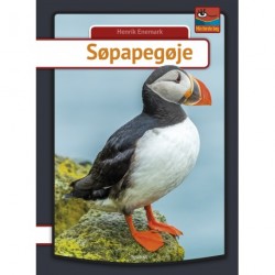Søpapegøje