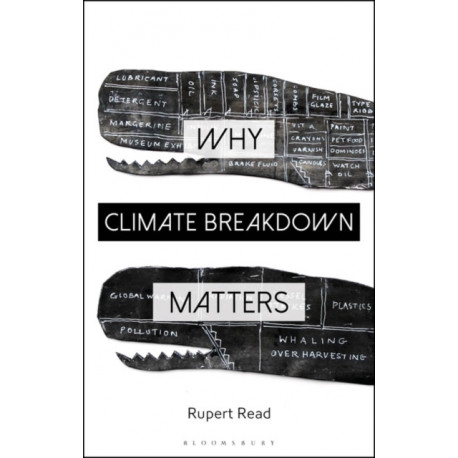 Why Climate Breakdown Matters