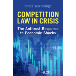 Competition Law in Crisis: The Antitrust Response to Economic Shocks
