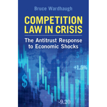 Competition Law in Crisis: The Antitrust Response to Economic Shocks