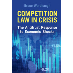 Competition Law in Crisis: The Antitrust Response to Economic Shocks