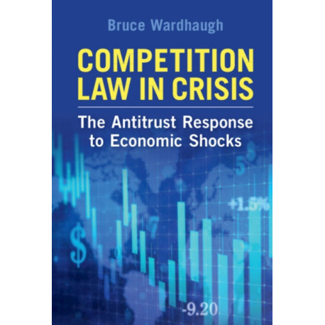Competition Law in Crisis: The Antitrust Response to Economic Shocks