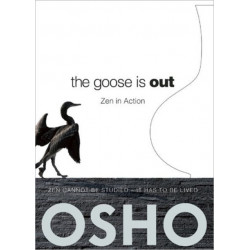 The Goose Is Out: Zen in Action