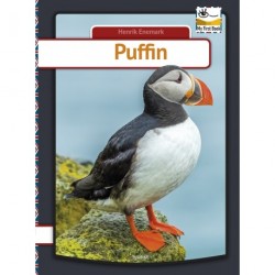 Puffin