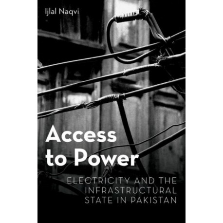Access to Power: Electricity and the Infrastructural State in Pakistan