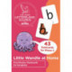 Little Wandle at Home First Phonics Flashcards for Reception: Phases 2 and 3