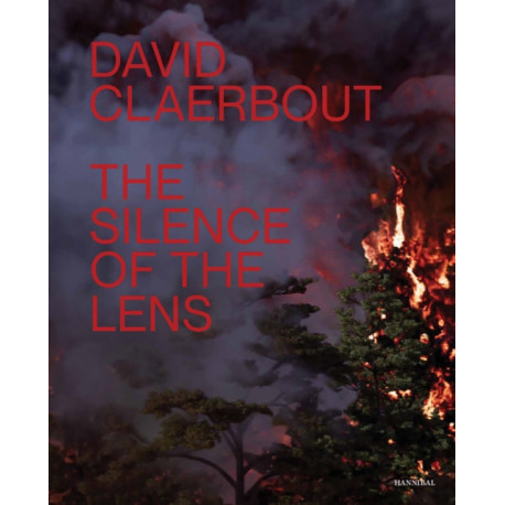 David Claerbout: The Silence of the Lens