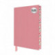 Baby Pink Blank Artisan Notebook (Flame Tree Journals)