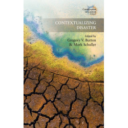 Contextualizing Disaster