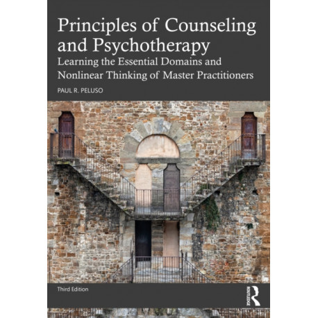 Principles of Counseling and Psychotherapy: Learning the Essential Domains and Nonlinear Thinking of Master Practitioners