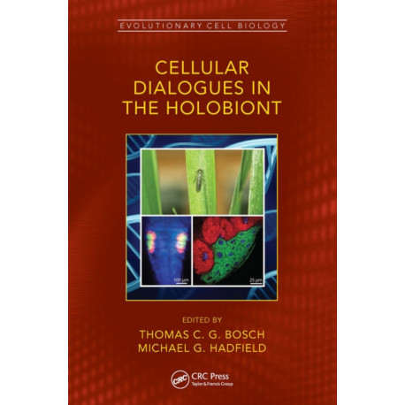 Cellular Dialogues in the Holobiont