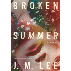 Broken Summer: A Novel