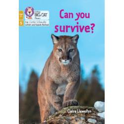 Can you survive?: Phase 5 Set 4