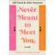Never Meant to Meet You: A Novel