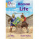 Roman Life: Phase 5 Set 2