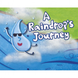 A Raindrop's Journey