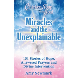 Chicken Soup for the Soul: Miracles and the Unexplainable: 101 Stories of Hope, Answered Prayers, and Divine Intervention