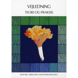 Vejledning - teori og praksis