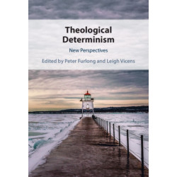 Theological Determinism: New Perspectives