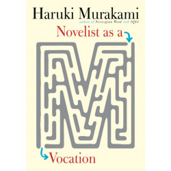 Novelist as a Vocation
